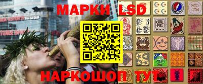 apvp Тулун
