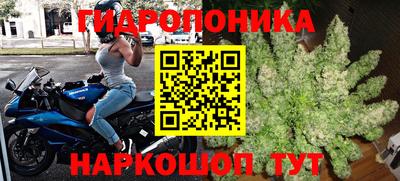 apvp Тулун