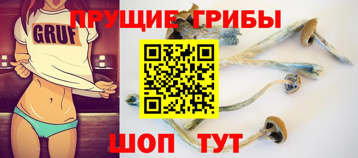 дарнет шоп  Вход с VPN  Щёлково  Псилоцибиновые грибы MAGIC MUSHROOMS 